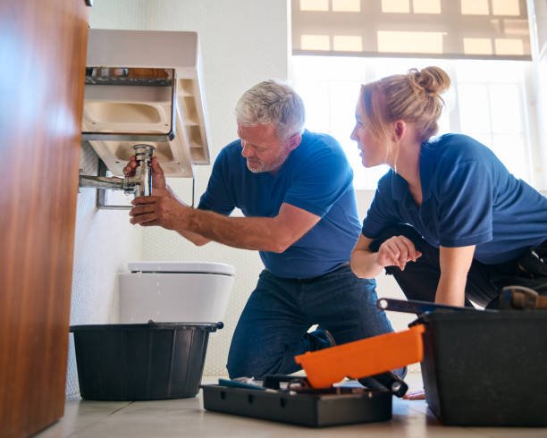 Best Plumbing Inspection Services  in Bayou Lourse, LA